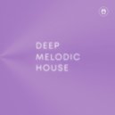 Melodic Techno - Hawk (Original Mix)