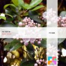 DMTRY - Kuma (Original Mix)