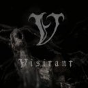 Visitant - Briars ()