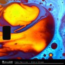 Tape Pavilion - Static Bloom