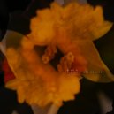 Mike.D - Caminar En El Suelo (Hipnosis Nocturna Mix)