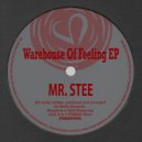 Mr. Stee - I Don't Think You'd Get It