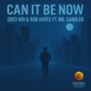 Oded Nir & Rob Hayes feat. Mr. Sandler - Can It Be Now