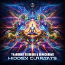 Transient Disorder & Sonochrome - Hidden Currents (Original Mix)