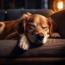 Terapia musical para el alma animal & Sonidos etéreos para seres & Sonidos para la paz animal - Orquesta Tranquila Para La Paz De Las Mascotas ()