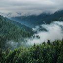 Relaxing Study Music Moments & Academic Focus & Peaceful Night Work - Soft Echo Through Pine And Mist