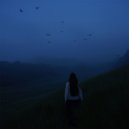 drexmcxtchers - Noema ()