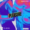 Harry Soto - Body Pleasure (Original Mix)