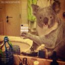 BLONDESPHERE - COALA DRUMS ()