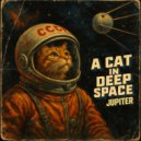 A Cat In Deep Space - Jupiter ()