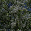 ялери - ты не узнаешь ()