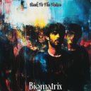 Biomatrix - Back To The Future ()