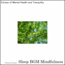 Sleep BGM Mindfulness - Astral Serenity Flowing with Brainwaves (Original Mix)