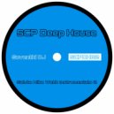 Seventhi DJ - Salute Mike Webb (Instrumentals 2)