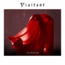 Visitant - Moon Bathe