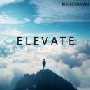 BlackCrocodile - Corporate Pulse ()