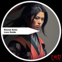 Rowan Echo - Shifts of Goodbye