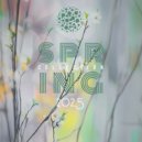 Mideila - The Forbidden Fruit