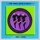 Las Bibas From Vizcaya - THE HOUSE OF AFRO