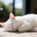 Soft Cat Music & Harmonious Cats & Perfect Cat Music - Cats’ Harmony Gentle Lofi ()