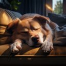 Radio Canina Relajante & Música de spa para perros & Academia de Música para Perros - Terapia Canina Con Orquesta Tranquila ()
