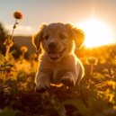 Sonidos Calmantes para Perros & Estudio Sonoro Canino & En Casa con Música para Perros - Un Salto Juguetón Temprano En La Mañana