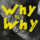 Thierry Tomas - Why Why (Original Mix)