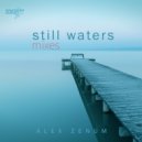 Alex Zenum - Still Waters (Nature Mix)