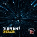Seb Skalski, Culture Tones - DubSpacer (Original Mix)
