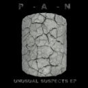 P A N - Unusual Suspects