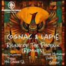 Cognac & Lapie - Rise of The Phoenix (Tiyani Remix)
