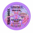 Unified Spirits - Meant To Be (Antonio Ocasio Remix)
