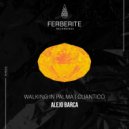 Alejo Barca - Walking in Palma