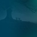 Tranquil State - ambient solitude ()