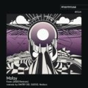 Molsy - Faces (SUDOS Remix)