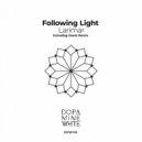 Following Light - Larimar
