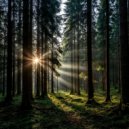 Misty point - Соленая вода ()