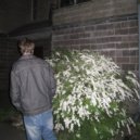 AELSO - FRANKFURT ()