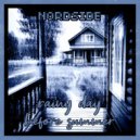 NORDSIDE - rainy day before summer ()