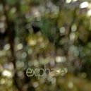 exiphase - Our Last Words ()