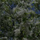 ялери - ты не узнаешь ()