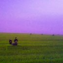 dzho raspee - wild mantra ()