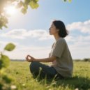 Meditation Music Club Retro & Sounds of Nature White Noise for Mindfulness & The Sound Farm - Gentle Mind Melodies