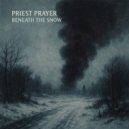 priestprayer - snowfall ()