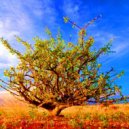 Edward Bai - Commiphora myrrha (progressive house) (mix)