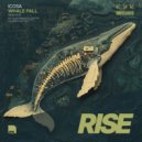 ICOSA - Whale Fall (Original Mix)