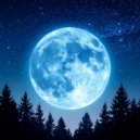 Canciones de cuna de pájaros & Dormir lluvioso & Sonidos Relajantes de la Naturaleza by Beneluxa - Un Desliz Tranquilo Hacia Los Brazos De La Noche ()