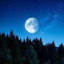 Sonido de Estrellas & Rocío de Canción & Ternura Sonora - El Bosque Envuelto En Los Brazos Del Crepúsculo