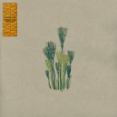 waterloop - grass ()
