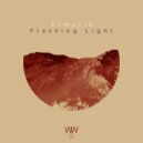  - Flashing Light (Original Mix)